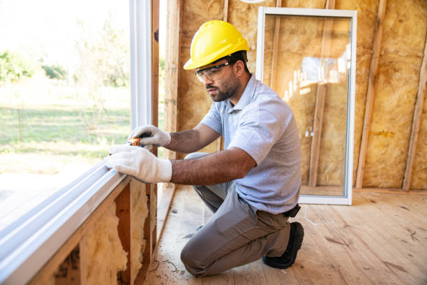 Best Home Insulation Services  in Mount Morris, MI