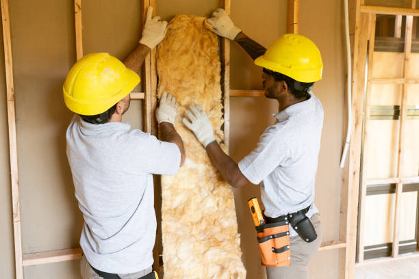Best Wall Insulation Contractor  in Mount Morris, MI